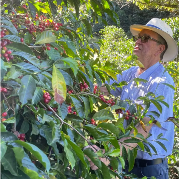 Hacienda San Isidro, Costa Rica