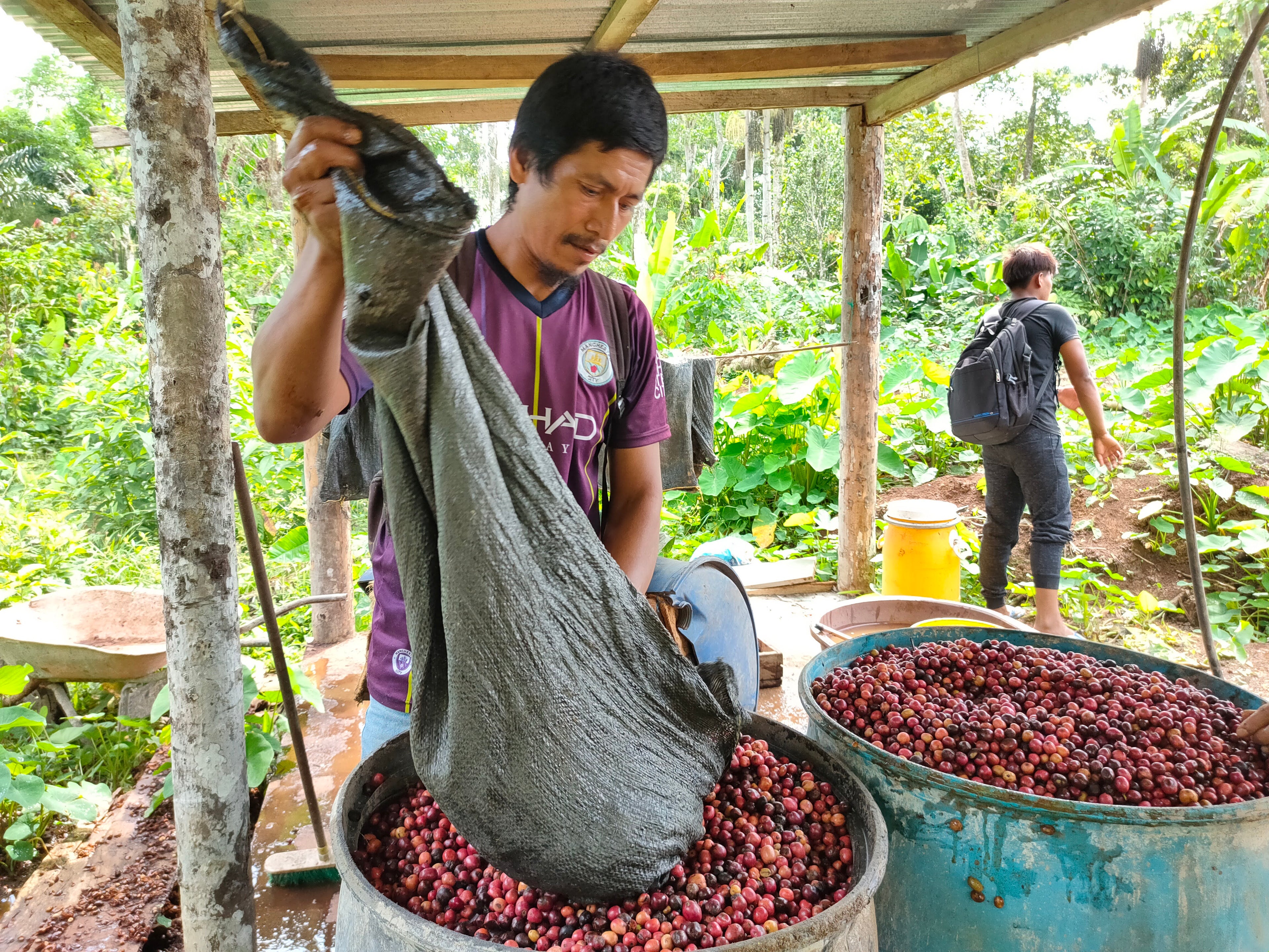 Espresso "Witoca - Anaerobic Natural"