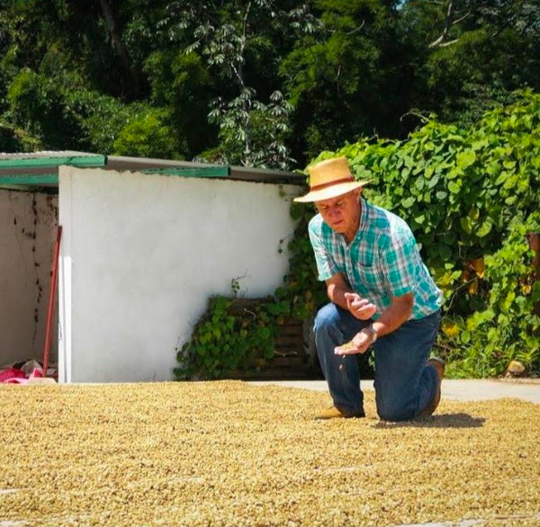 Mexiko, Finca Fulda