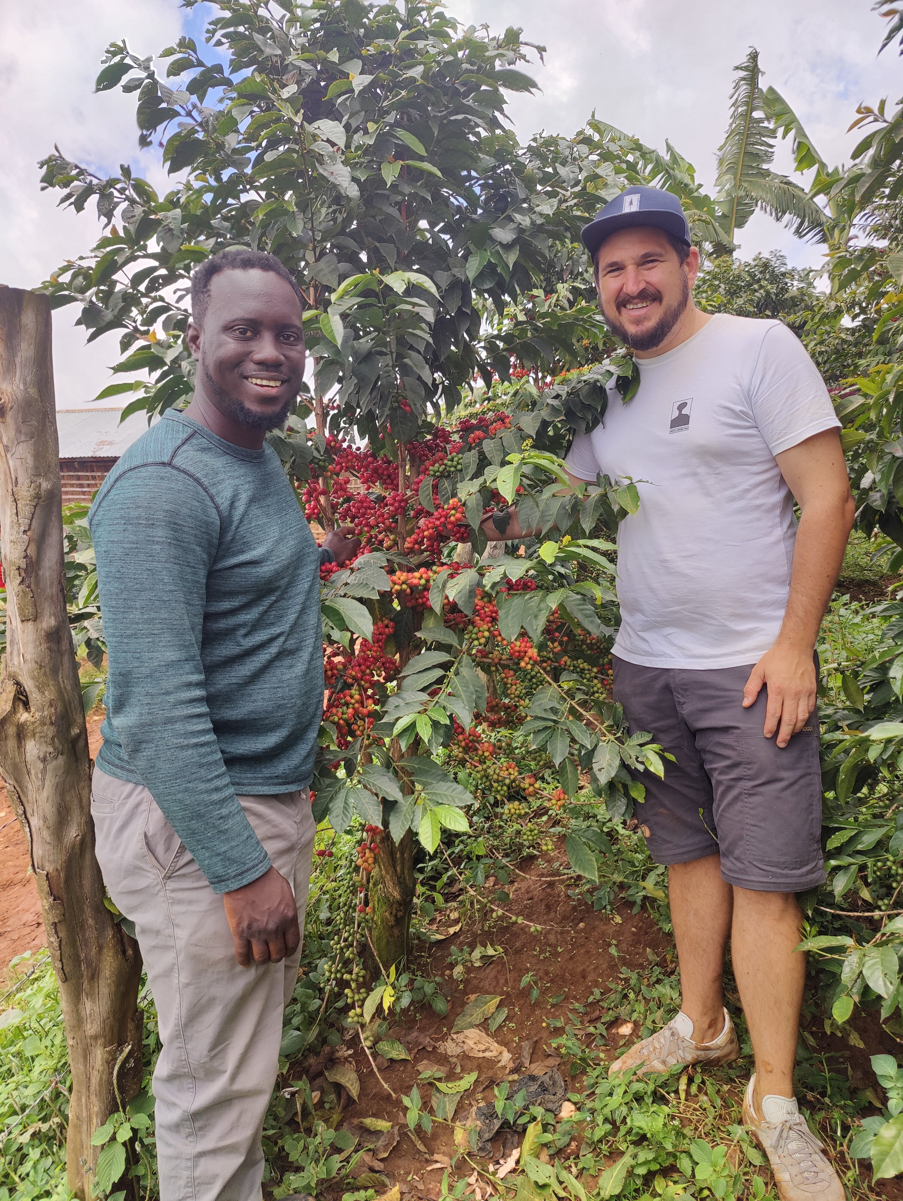 Filterkaffee „Mount Elgon"