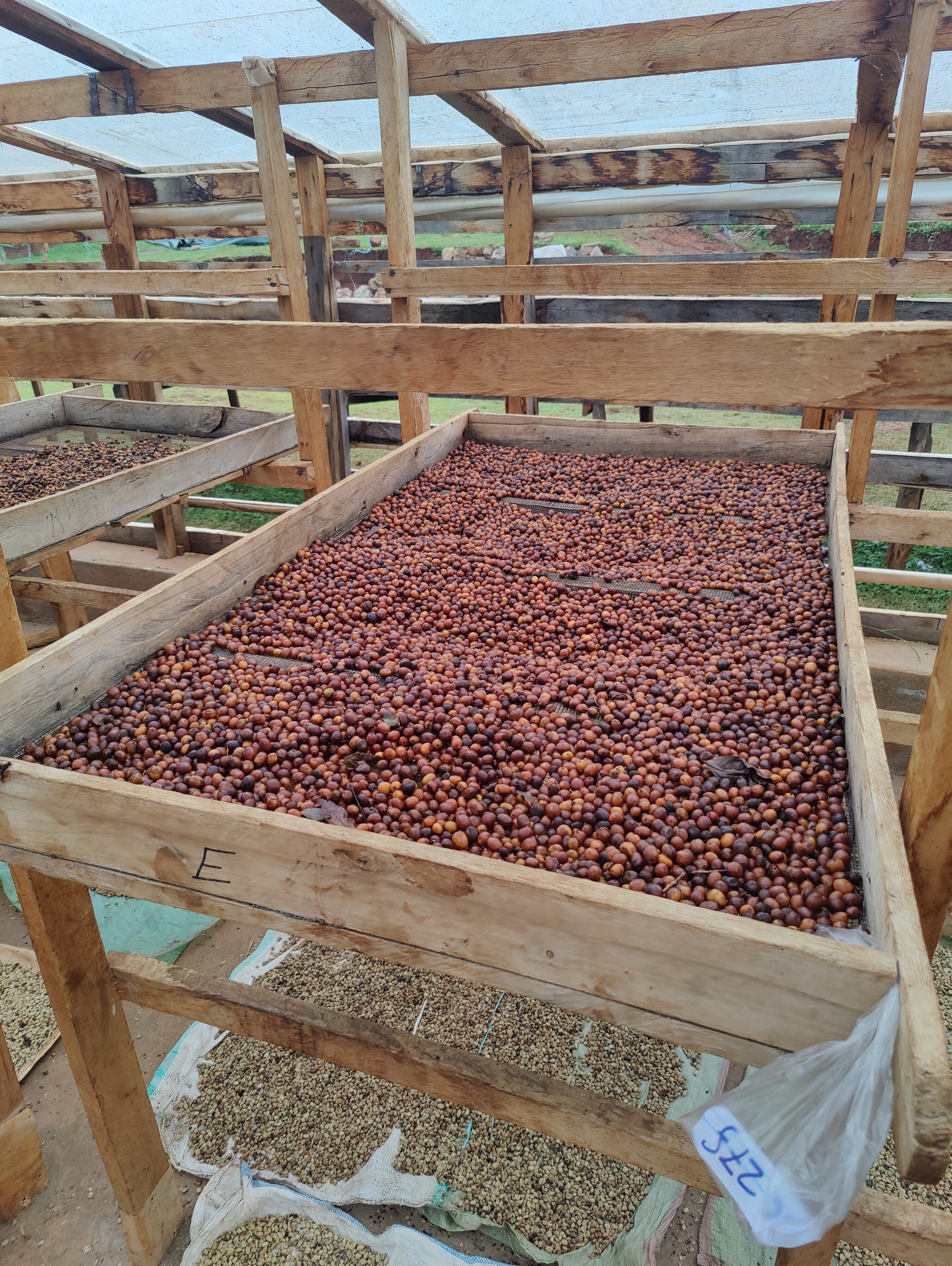 Filterkaffee „Mount Elgon"