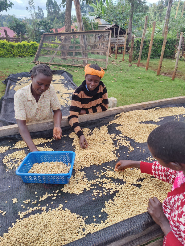 Chesiyo Washing Station