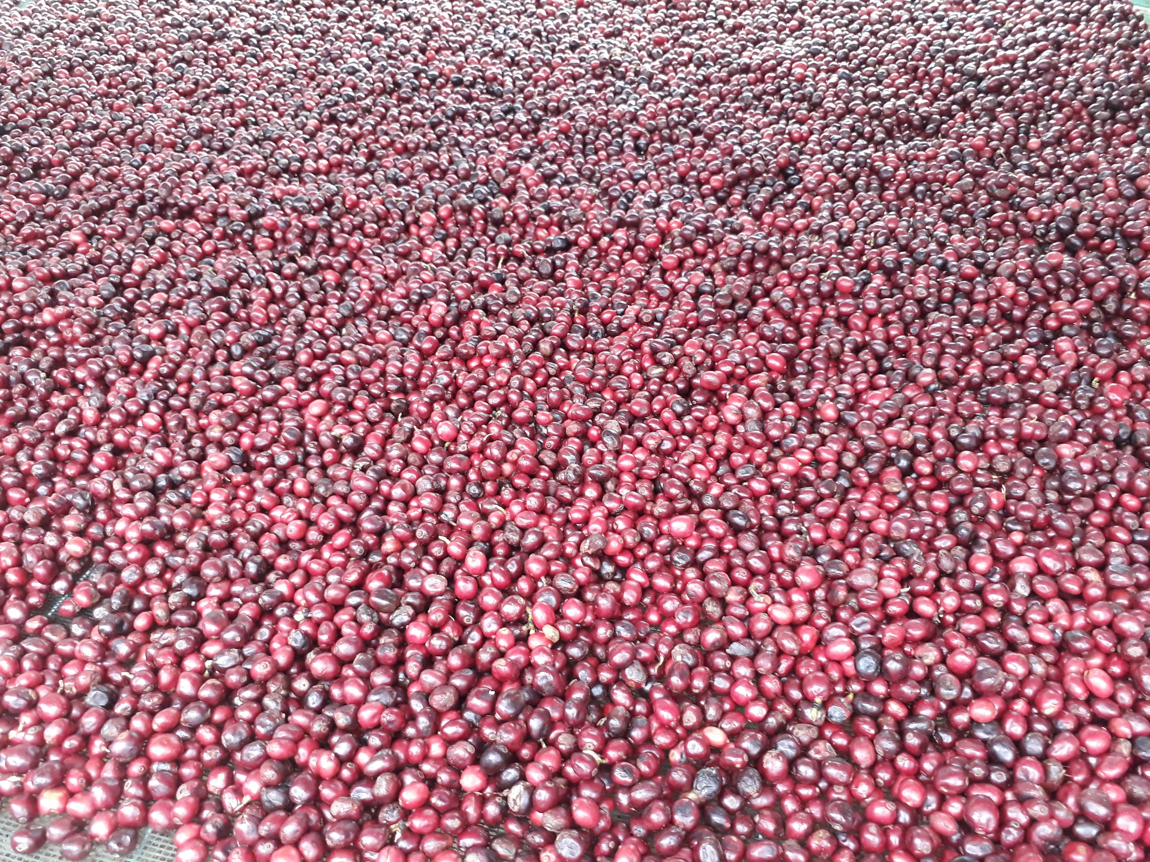 Espresso „Tiefgang“