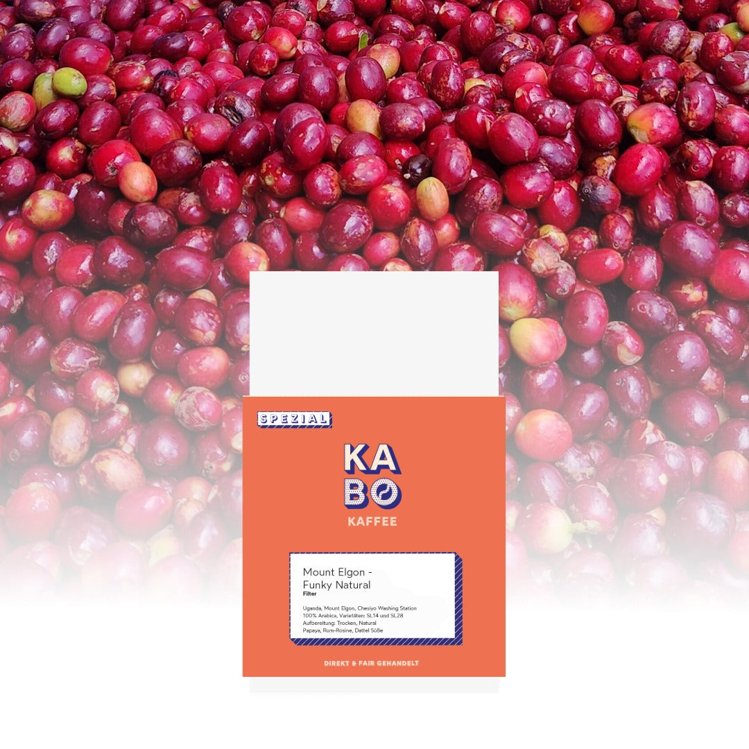 Photo of Filterkaffee „Mount Elgon" - 250g / Ganze Bohne