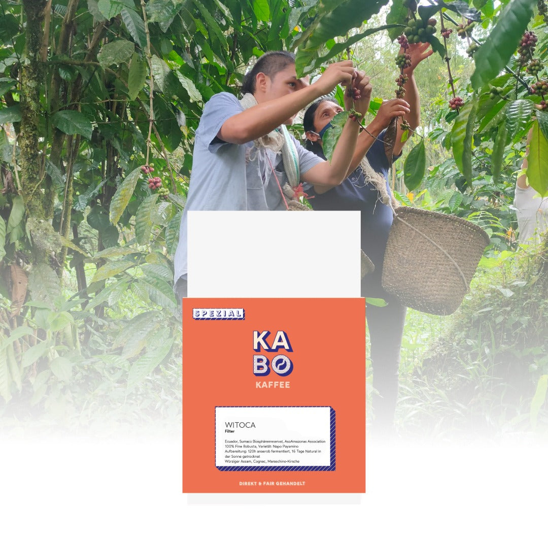 Filterkaffee "Witoca - Anaerobic Natural"