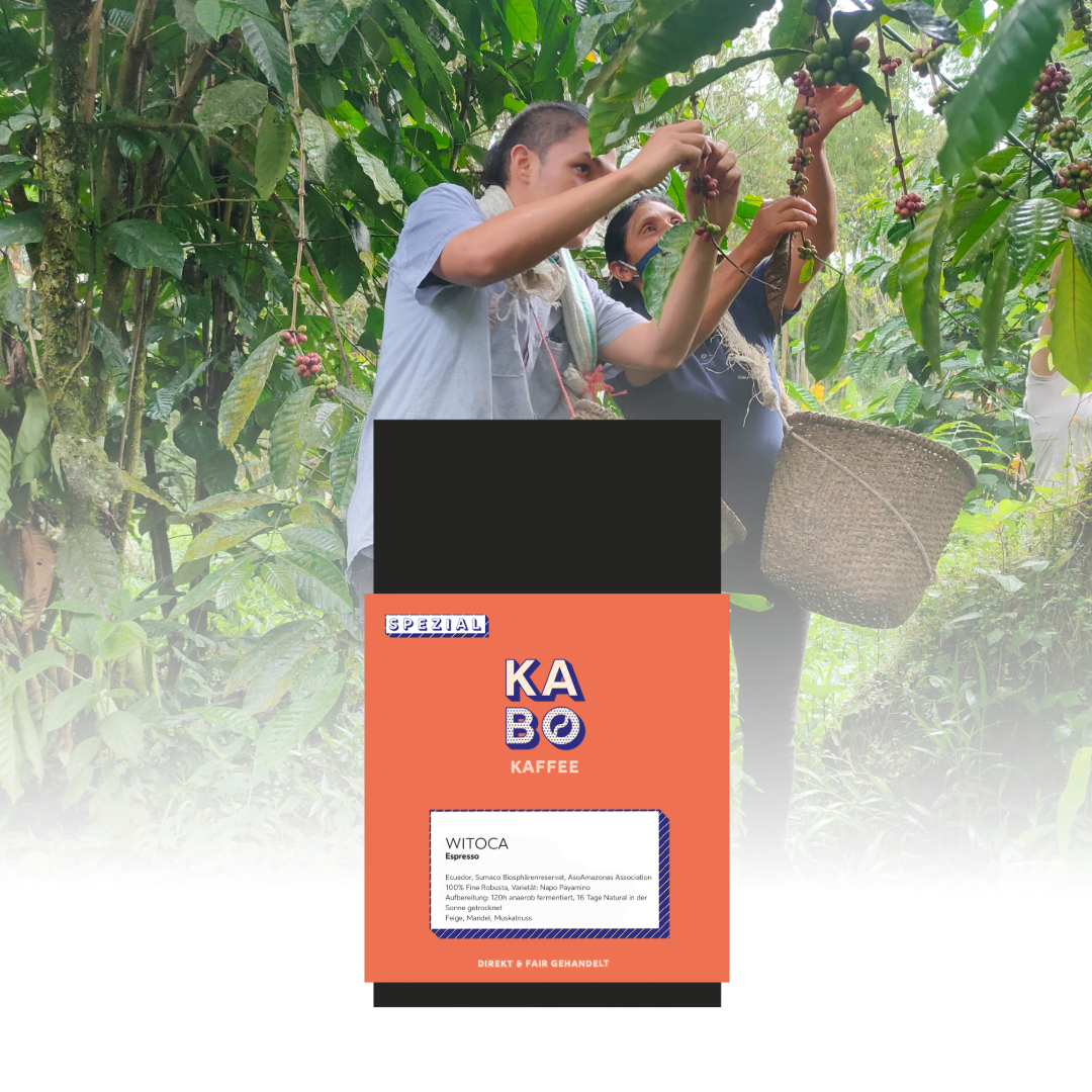 Espresso "Witoca - Anaerobic Natural"