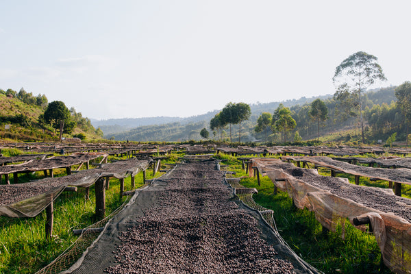 Chesiyo Washing Station