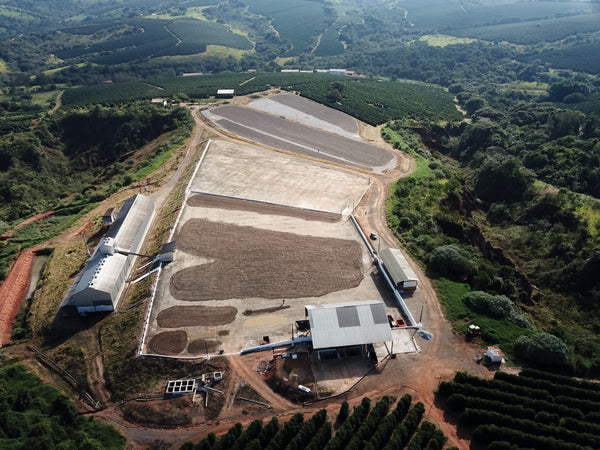 Campo Alegre Farm