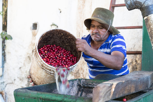 Finca La Buena Esperanza