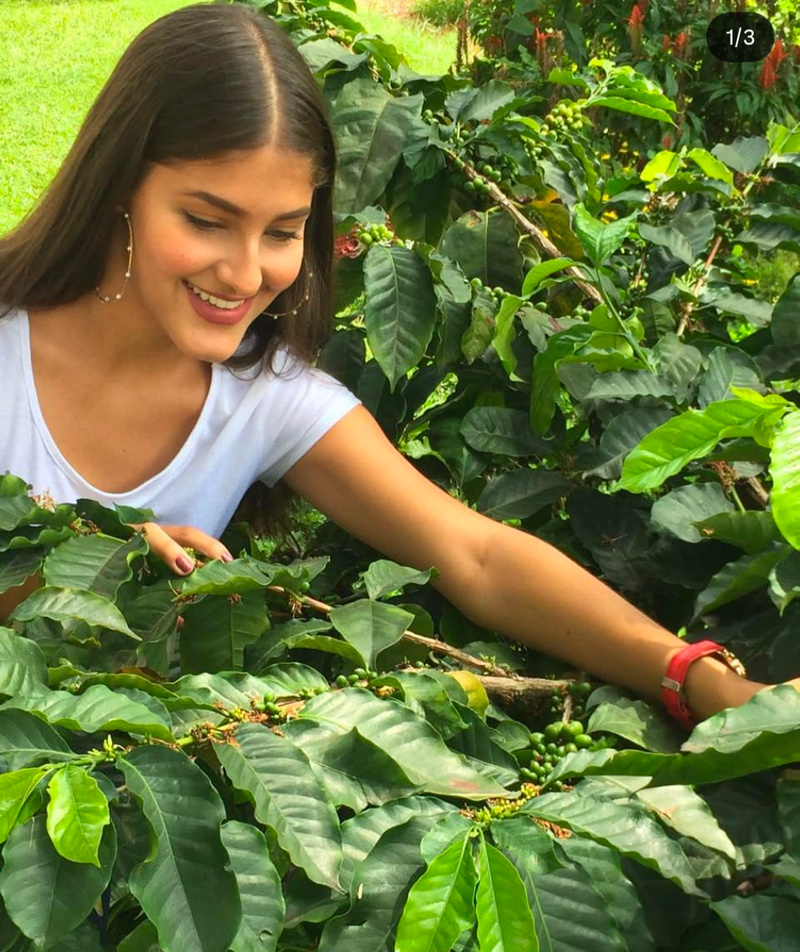 Filterkaffee „Villa Flor“- Pink Bourbon