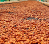 Filterkaffee „Villa Flor“- Pink Bourbon