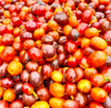 Filterkaffee „Villa Flor“- Pink Bourbon
