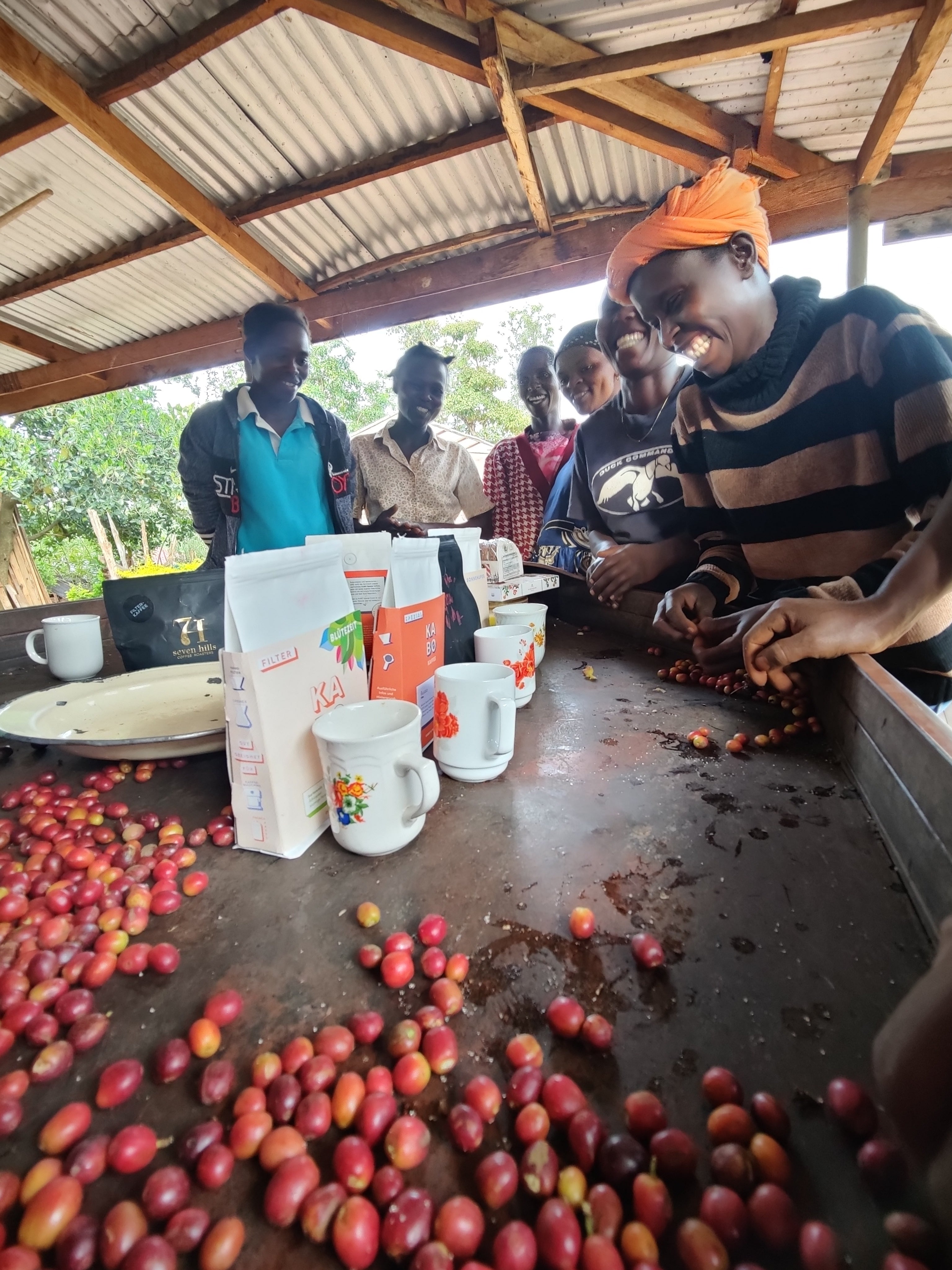 Espresso „Sipi Falls Red Honey“